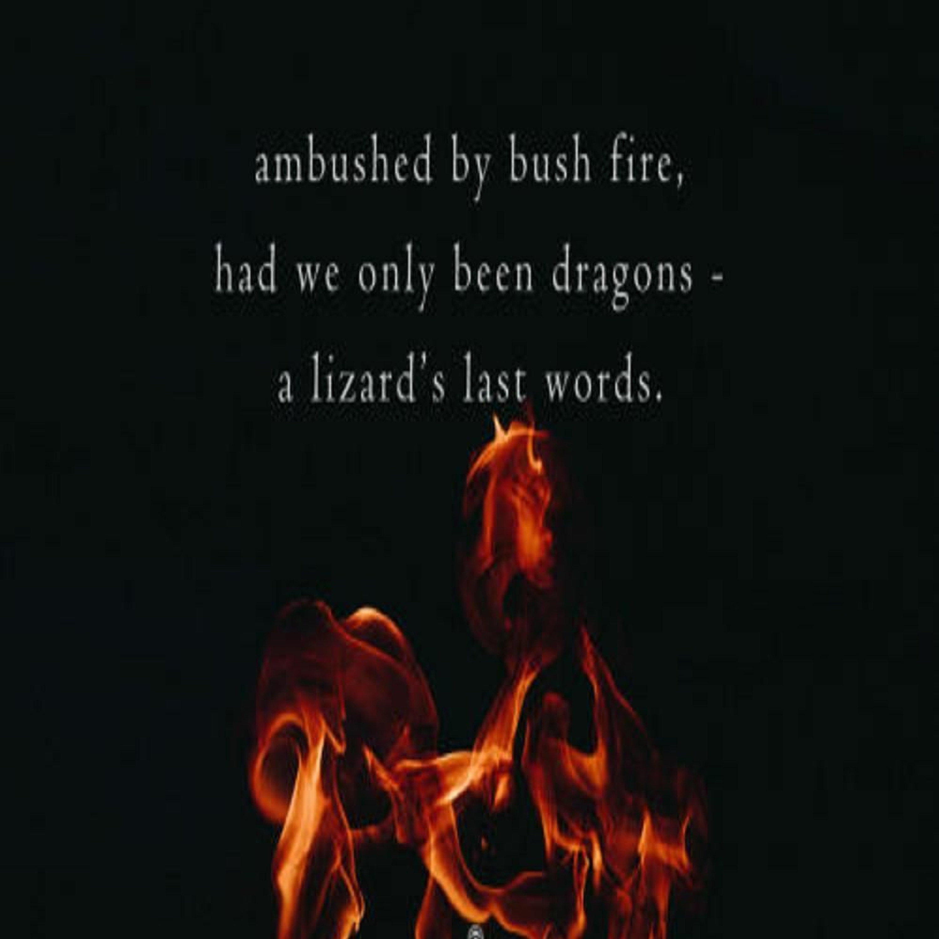 OneAmbient4 - Had We Only Be Dragons - A Lizards Last Words (Naviarhaiku 315) episode artwork