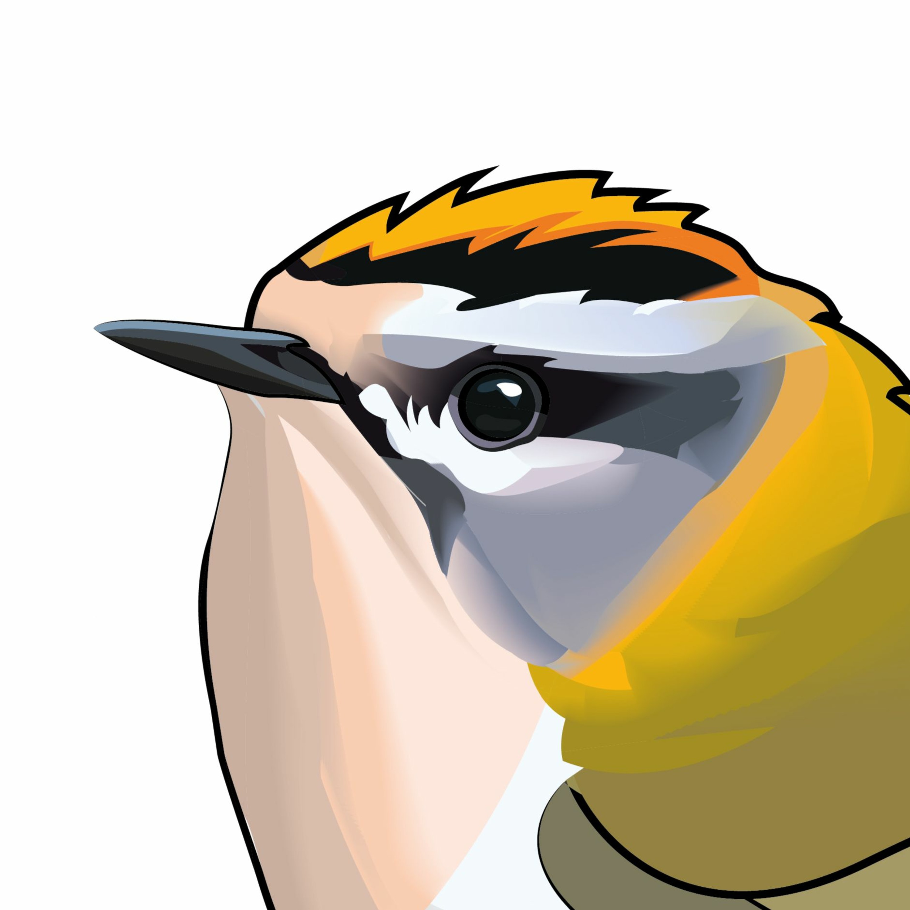 Pippipodden