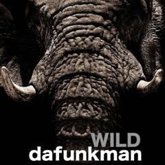 Wild (Dub Remix)