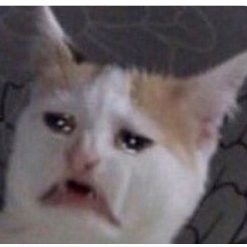 Stream Bruises Lewis Capaldi cover by Julie H. Listen online for