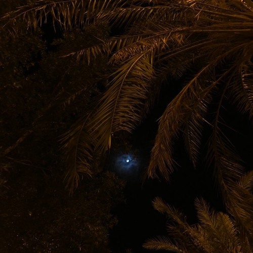 ما أطولك ليل .. سارق من عيوني النهار