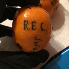 Geschichten Aus Dem Treppenhaus ft. litjay, DeadBeppo, lylgas & Jaro (prod. tapetony)