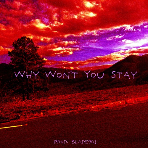 Why Won't You Stay (Prod. Blade901)