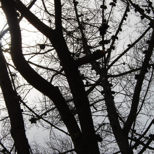 Why?! | String Sextet & Piano Op.1, No.7 Adagio Atonal