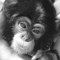 Meyrand Roux Band - Junglebook Theme