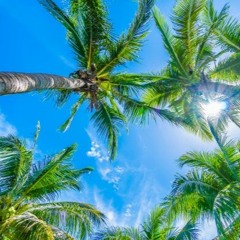 Dance Monkey [ VolcomNoxTahiti Remix ] EXTENDED Moombahton