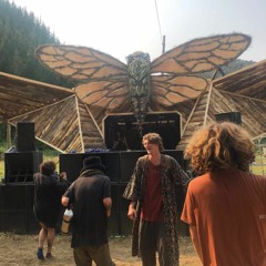 Psionic Twisted Frequency Festival - 2020