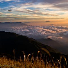 After Image cover TAGARAW