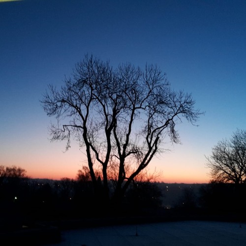 Fossń ~HouseMusic~ Set.(2020)