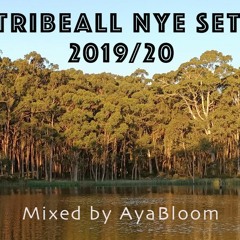 TRIBEALL NYE 2020 SET 22:45-00:00 Mixed By AYABLOOM