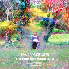 Pat Tassone - Live from Wildwood forest (2019 Closing set)
