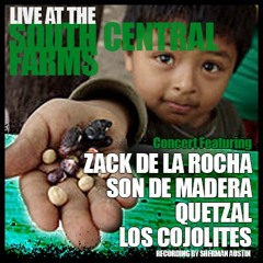 Song 13 - Zack De La Rocha, Son De Madera, Quetzal, Los Cojolites