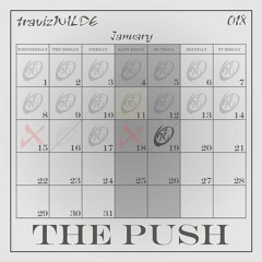 travizWILDE - 018 The Push