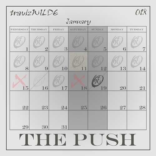 travizWILDE - 018 The Push