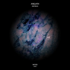PREMIERE : Anejath - Empyrean (Original Mix) [Wood Limited]