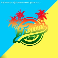 Tropical Sound #GyalChune 1.0 Bashment Mix @tropicalsound7up
