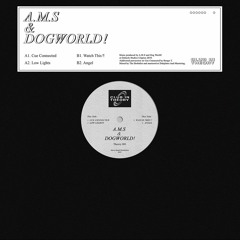 A.M.S & Dogworld! - THEORY 001