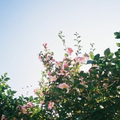 オー・シャンゼリゼ(COVER)