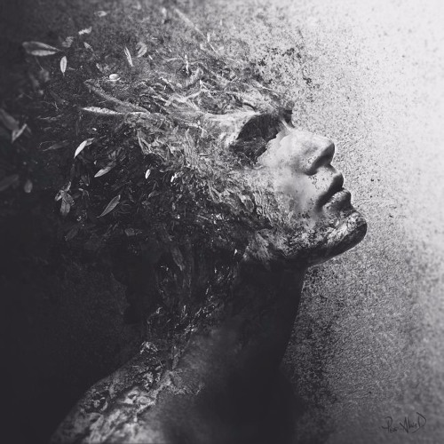 Mozaik @ Maxes [17.01.2020] (BL)