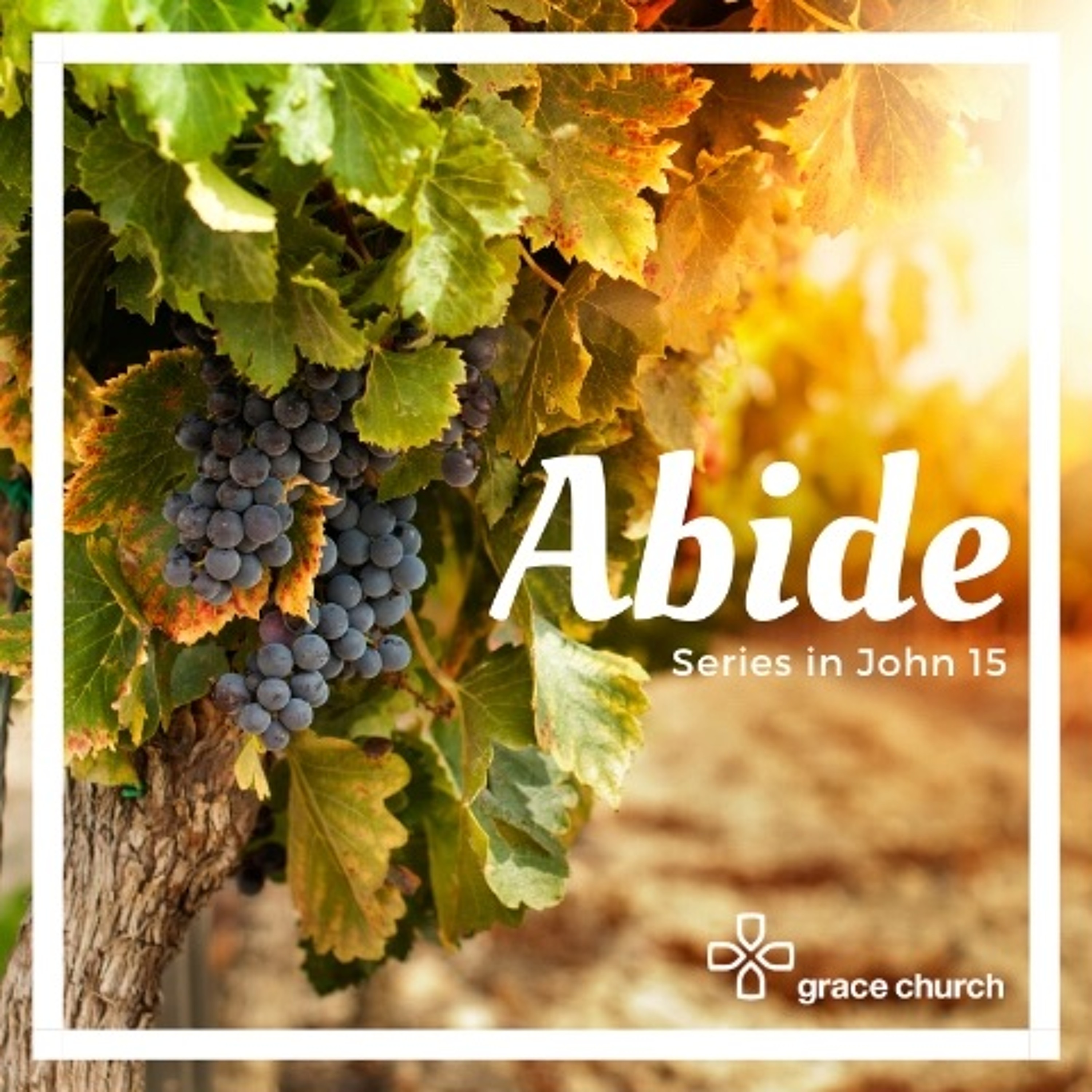Abiding in the Word of Christ and Bearing Fruit | John 15:5-7 | 19/01/20