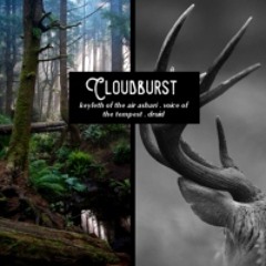 Cloudburst - Keyleth of the Air Ashari