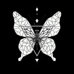 Daniel Clayne - Schmetterling