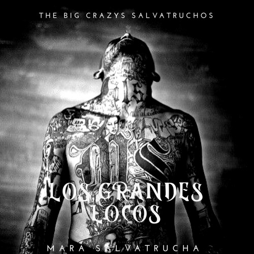 MS 13 LOS GRANDES LOCOS (BCLS)