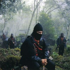 66. The EZLN Prepares for War