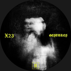 X23 - Gestures [II018S]