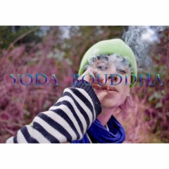 YODA - BOUDDHA