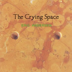 R65 - Eric Andersen - "Le Chemin Des Larmes" excerpt from The Crying Space 2xCD