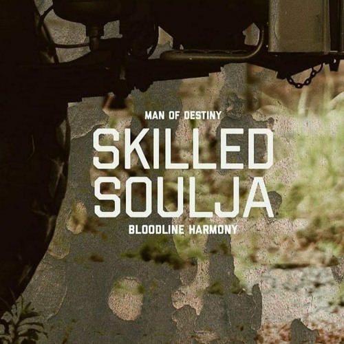 Skilled Soulja with Bloodline Harmomy