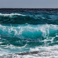 Wave - Movements Newmix