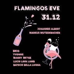 Flamingos Eve | Silvester 19 @Waldschänke Dornheim