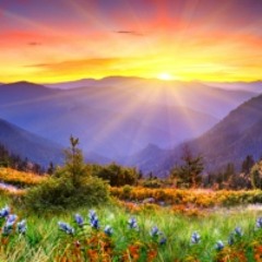 Morning Time
