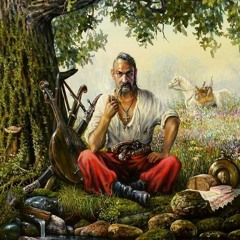 Тінь Сонця  - В Дикім Полі