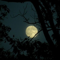 Midnight Original Mix