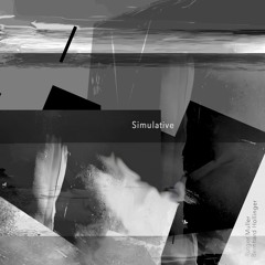 Recursive Reflections (Rutger Muller & Bernhard Hollinger)