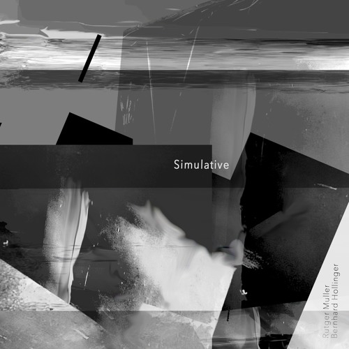 Recursive Reflections (Rutger Muller & Bernhard Hollinger)