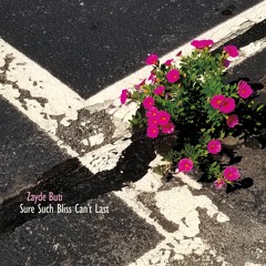 Dumpster Dont Give a Damn