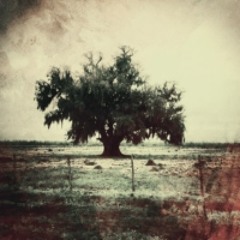 far from any road