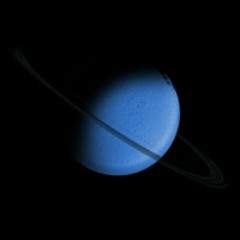 Neptune