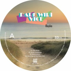 Rayko - The Dude (Original Mix)