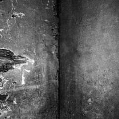 Depressive Suicidal Black Metal(Demo)