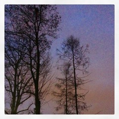 Elevated flow (feat. Cosmvs)