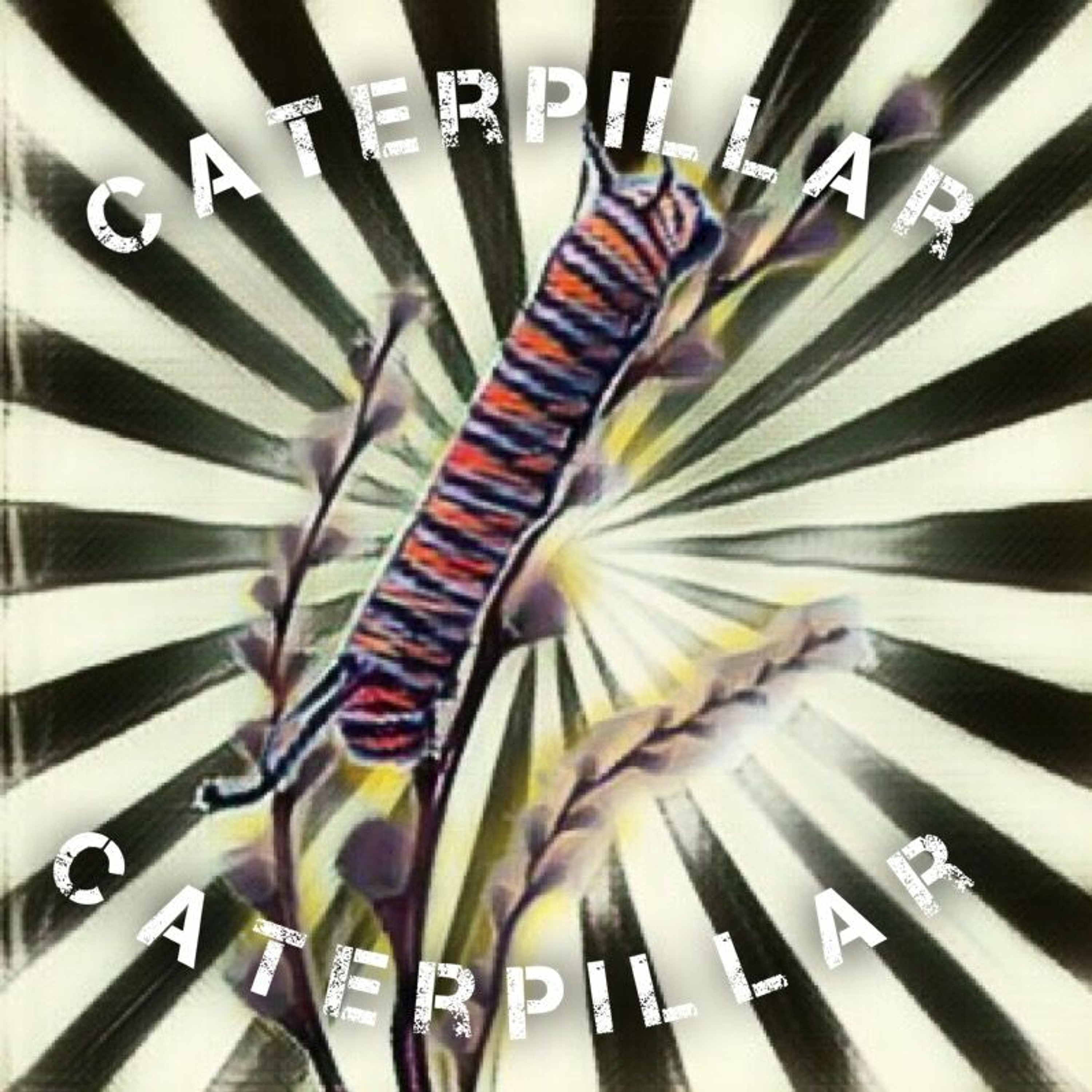Metamorphosis episode artwork