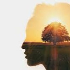 Day 2 Deepak Chopra Abundance Challenge