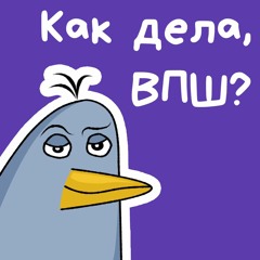 №1 — Директор ВПШ Мася о проекте, организаторах и форс-мажорах