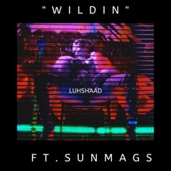 Wildin' (feat. Sunmags) [prod. 10k Jay]