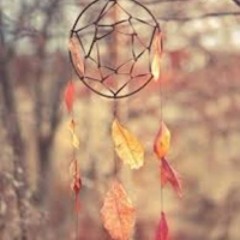 Leaves fall as the days grow cold